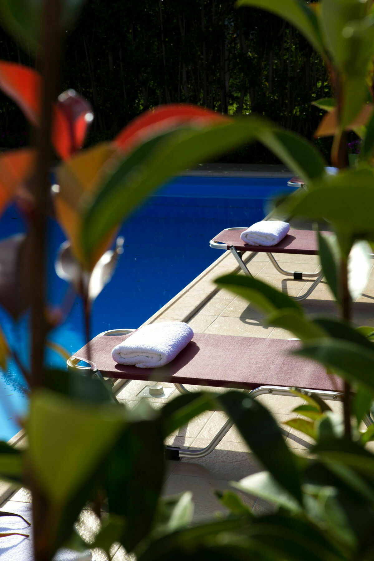 Exanthia Villas 외부 사진